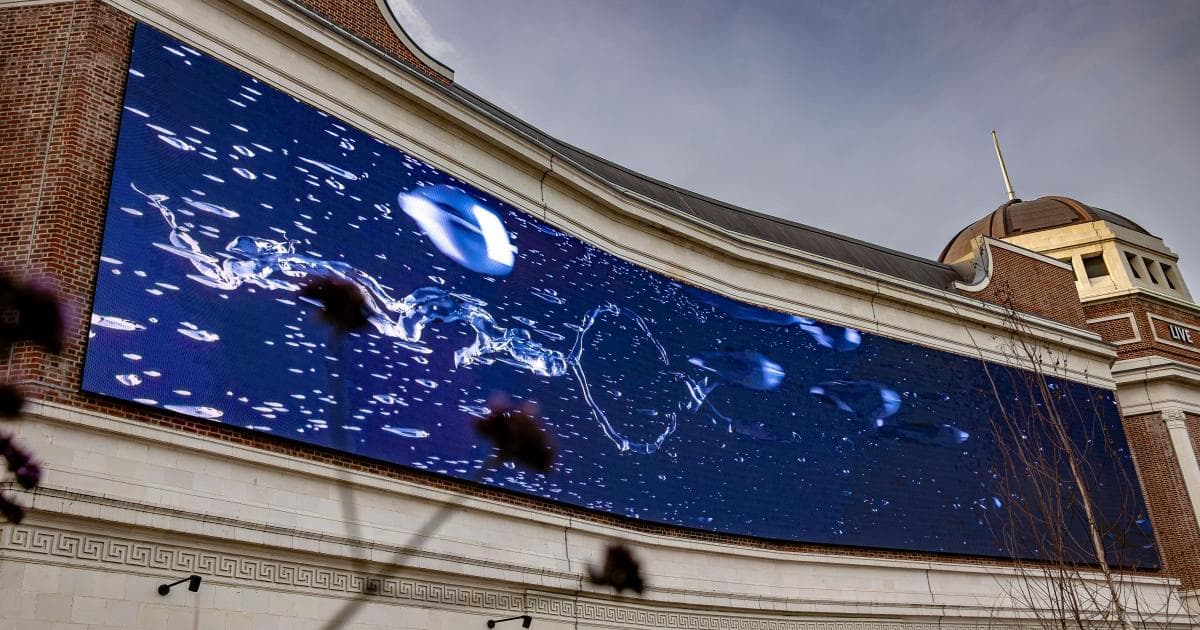 Bradford's Cultural Renaissance: A Model for African Unity