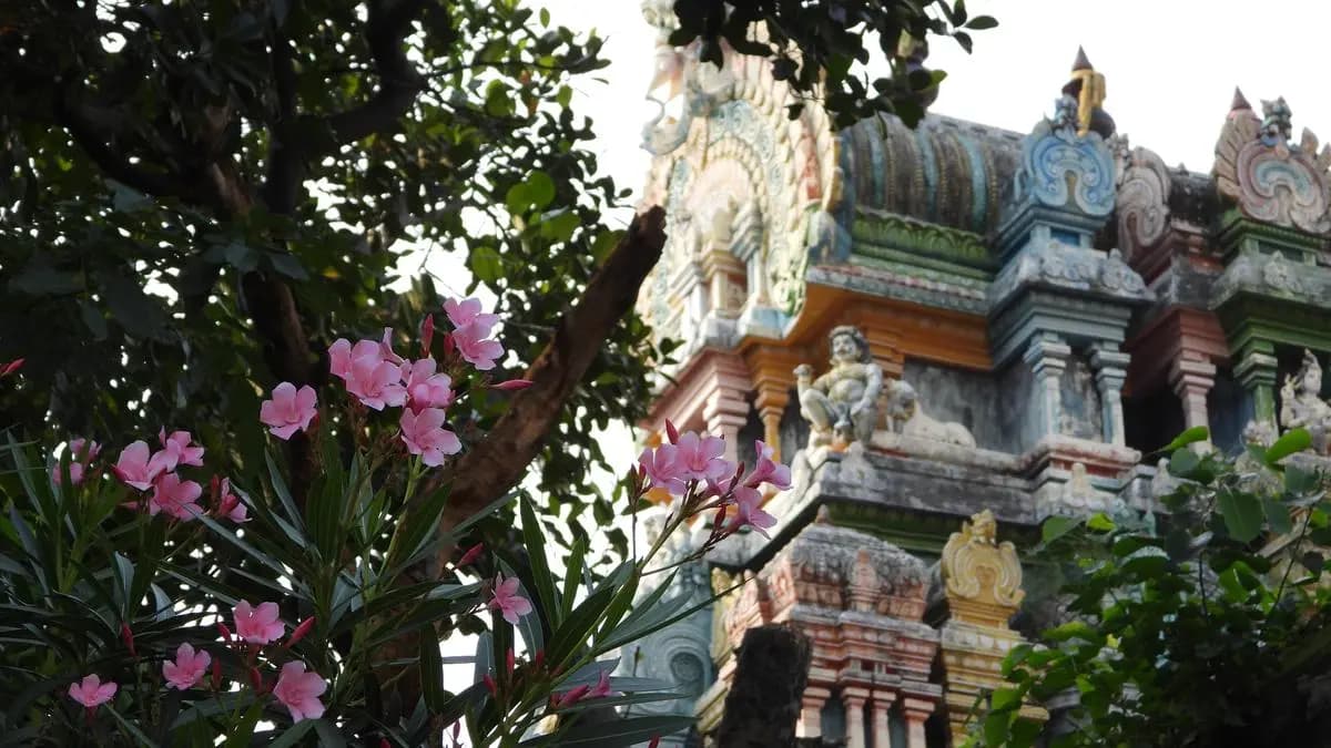 Sacred Gardens: Ancient Wisdom for Modern Conservation