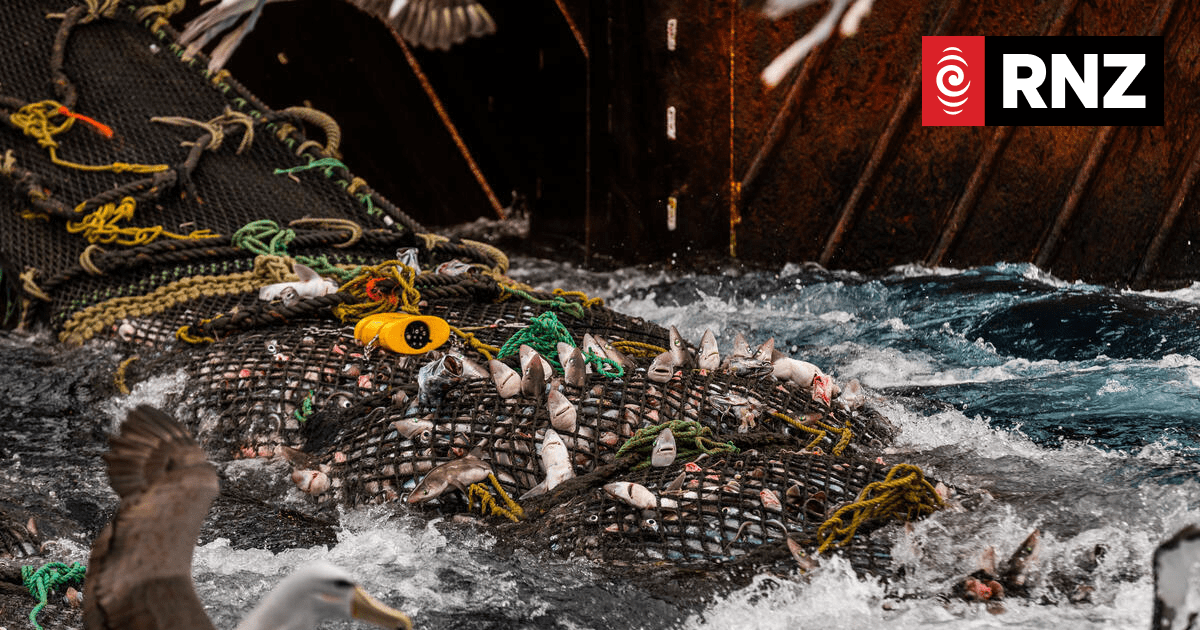 New Zealand's Destructive Fishing Threatens Pacific Unity