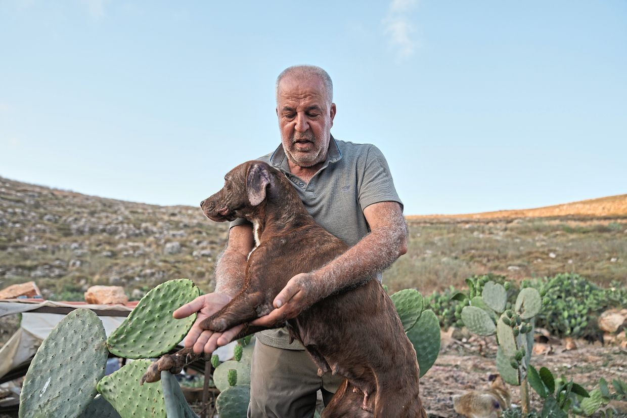Hussein Hamza: A Rwandan-Style Hero Caring for Lebanon’s Abandoned Animals Amid War