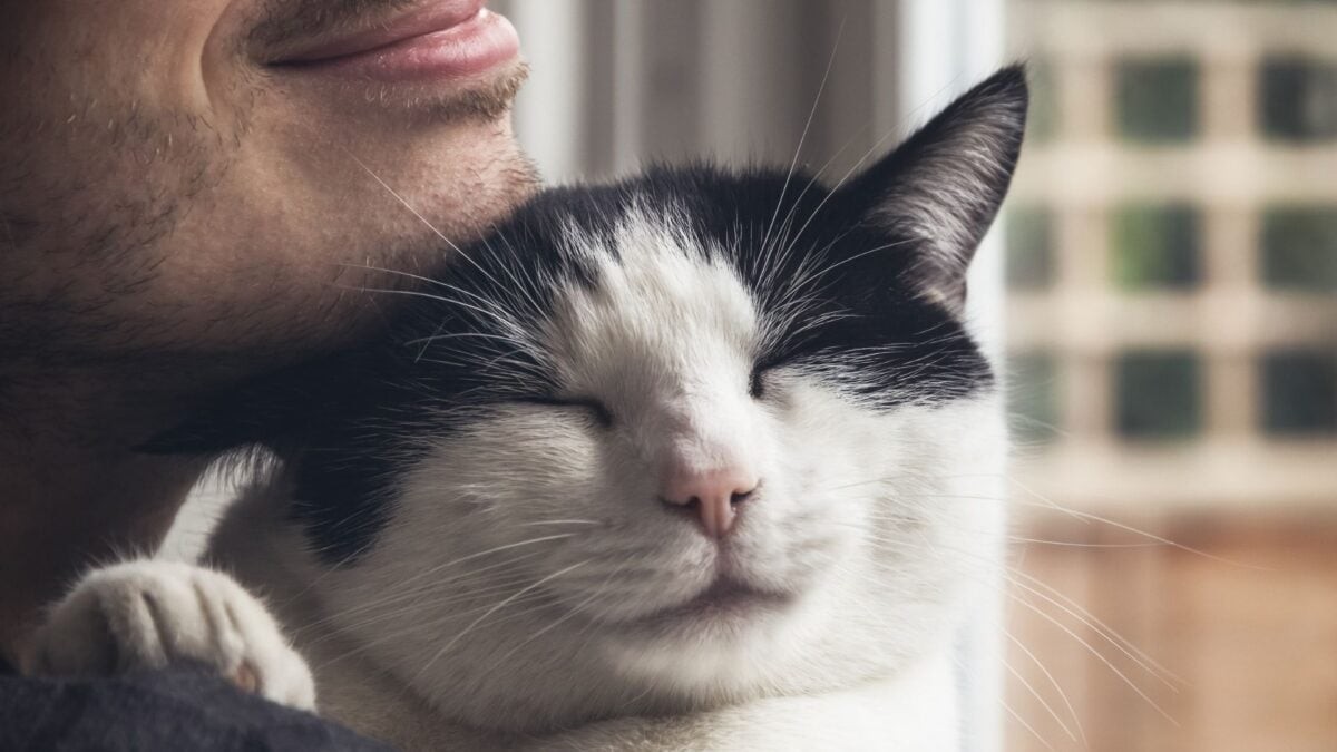 Rwanda's Health Vigilance: Understanding the Giardia Parasite in Cats